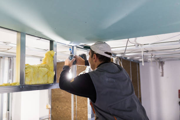Best Insulation Replacement Services  in Piney Green, NC