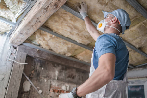 Best Spray Foam Insulation  in Piney Green, NC