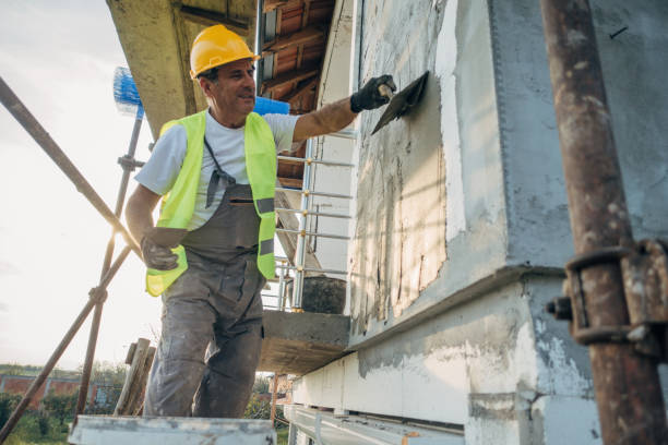 Best Cellulose Insulation  in Piney Green, NC