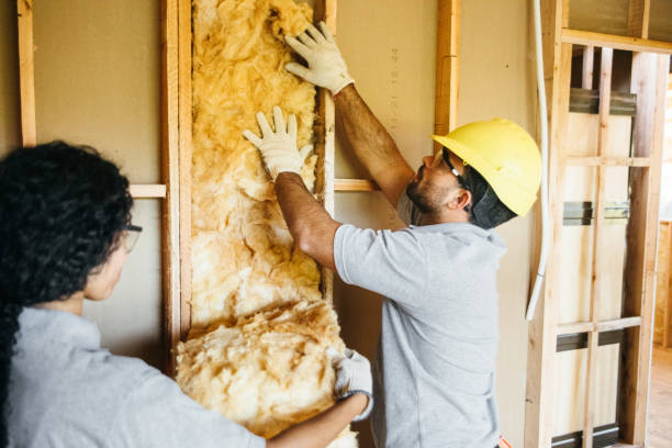 Best Local Insulation Services  in Piney Green, NC
