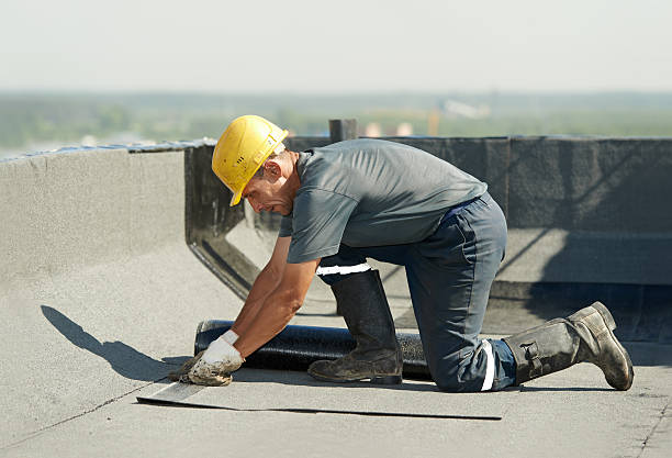 Best Home Insulation Services  in Piney Green, NC