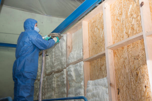 Best Professional Insulation Contractor  in Piney Green, NC