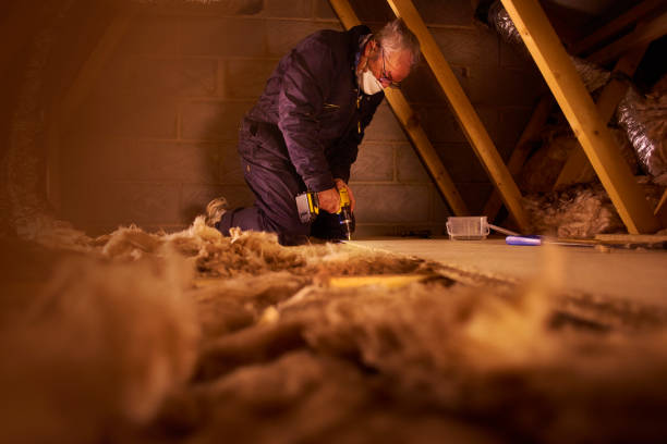 Best Insulation for Commercial Buildings  in Piney Green, NC