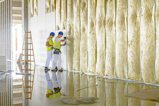 Best Attic Insulation Installation  in Piney Green, NC